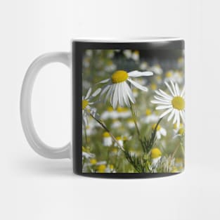 Mid Morning Mayweed Mug